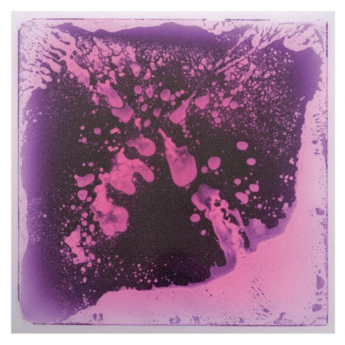 Les plaques sensori-motrices - Violet