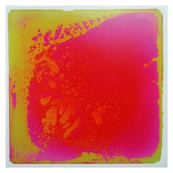 Les plaques sensori-motrices - Rose