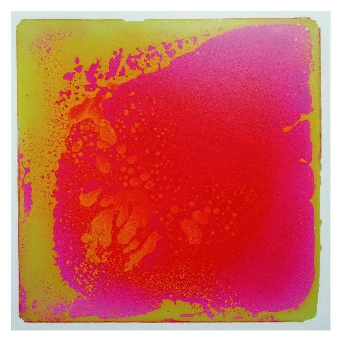 Les plaques sensori-motrices - Rose