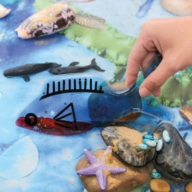 Jelly shapes par 4 - Poissons