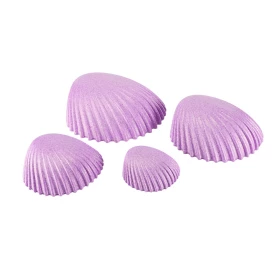 Les plaques de motricité coquillage