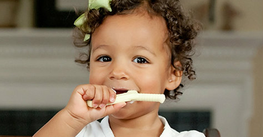 Comment enseigner les notions de morsure et de mastication ? Comment enseigner les notions de morsure et de mastication ?