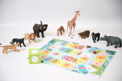 Jeu de plateau jungle : apprendre en jouant